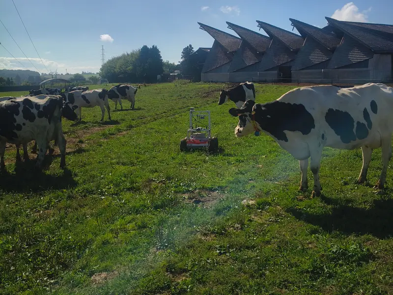 Le robot ROBHERB en mission entre des vaches Holstein, devant les bâtiments du CTA Strée.