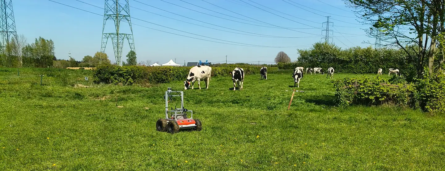 Le robot ROBHERB à l'arrêt dans une prairie pâturée du CTA Strée ; un troupeau de vaches Holstein broute en arrière-plan sous un ciel dégagé.