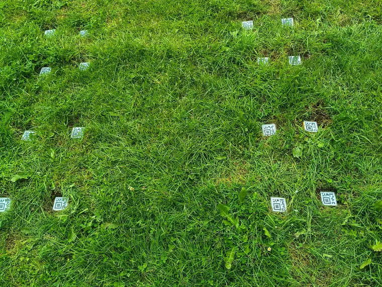 Vue rapprochée du couvert : des marqueurs codés blancs délimitent au sol les coins des quadrats de référence.